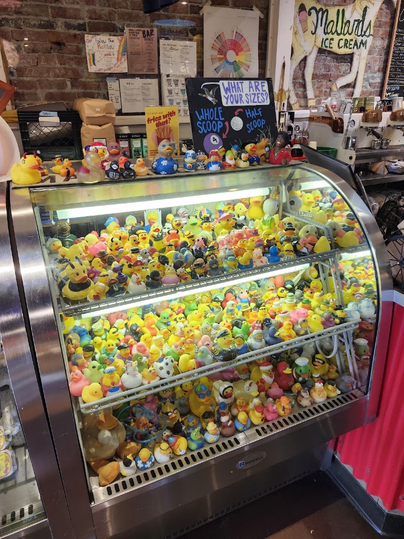 Mallard Ice Cream photo 4