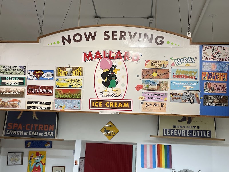 Mallard Ice Cream photo 3