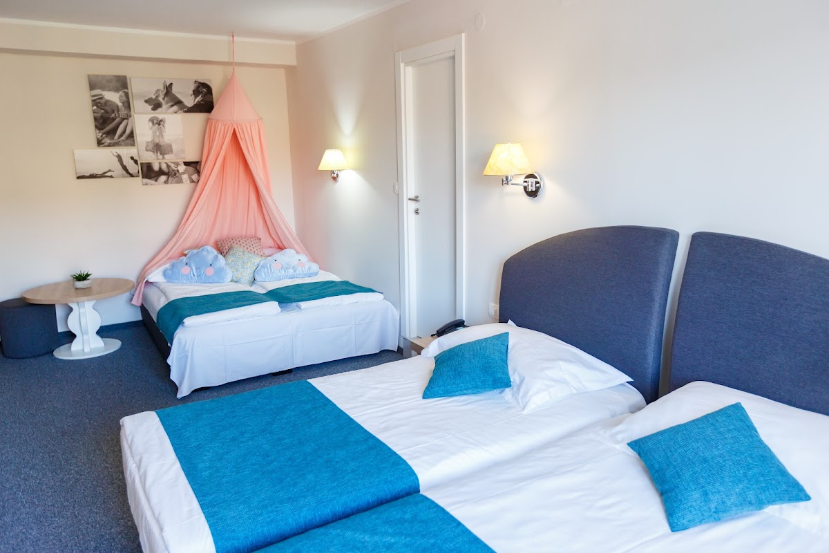 Hotel Mirna, dog-friendly hotel, photo 4
