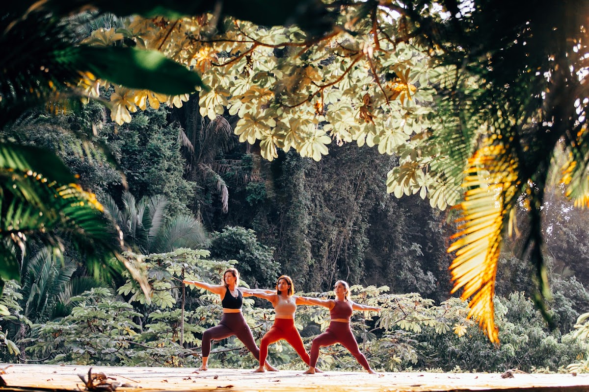 Beyond Yoga Retreat - All Inclusive Wellness Resort and Spa In Puerto Vallarta, Mexico