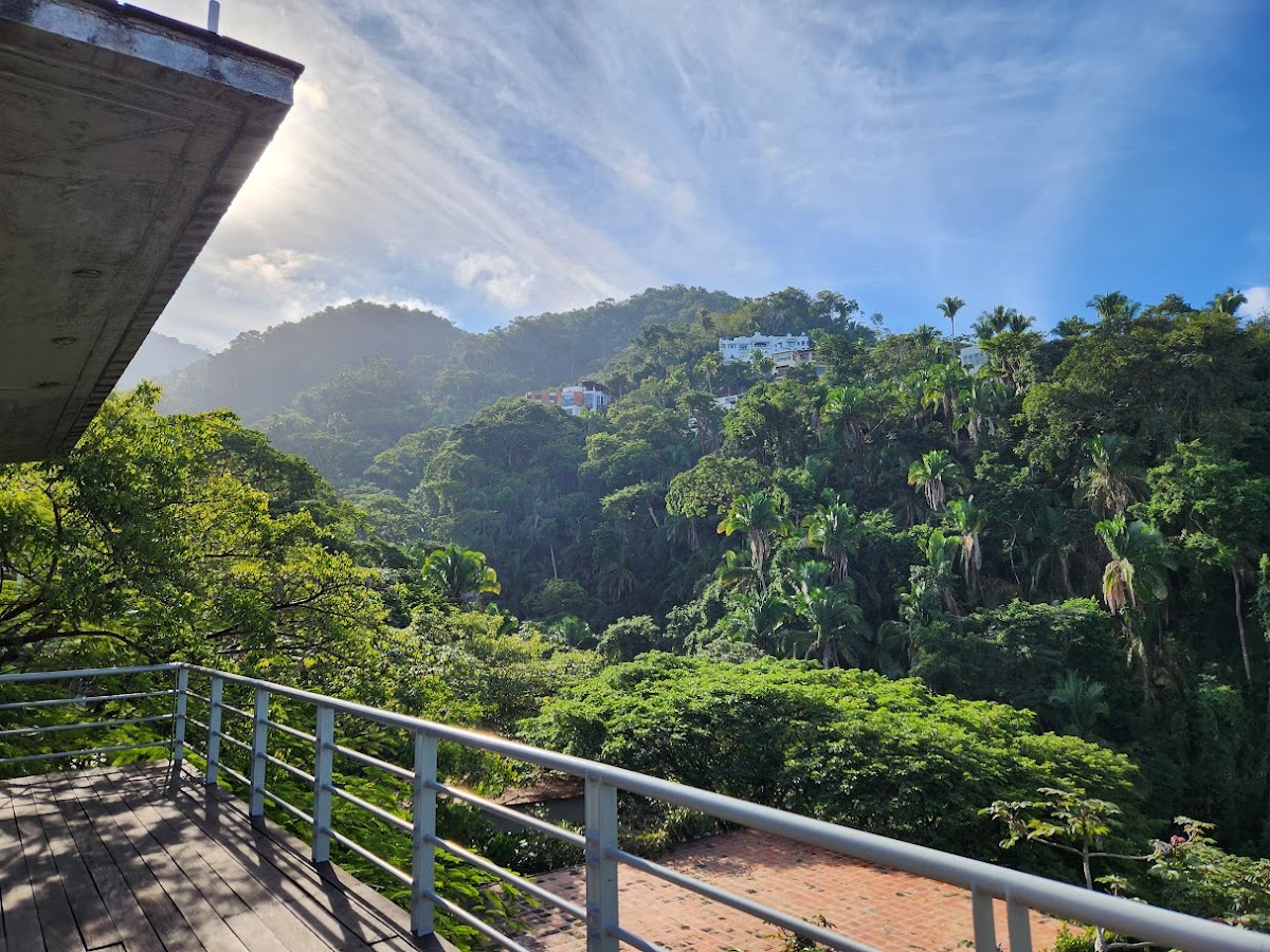 Beyond Yoga Retreat - All Inclusive Wellness Resort and Spa In Puerto Vallarta, Mexico — 4