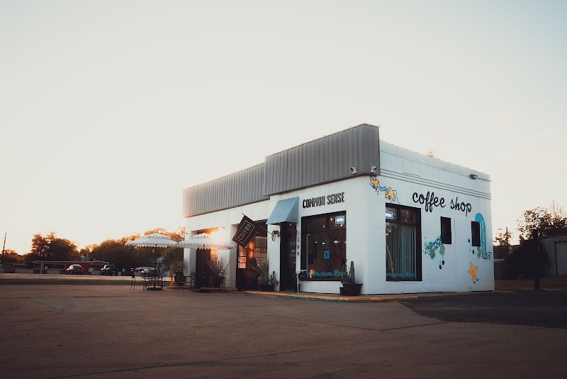 Common Sense Shop photo 3