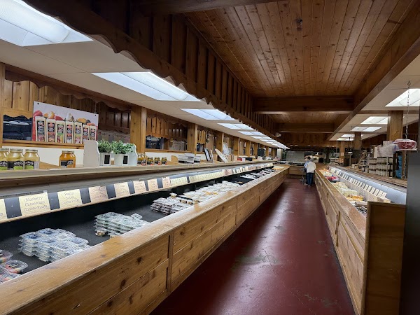 Photo by Barbi Jo Brown