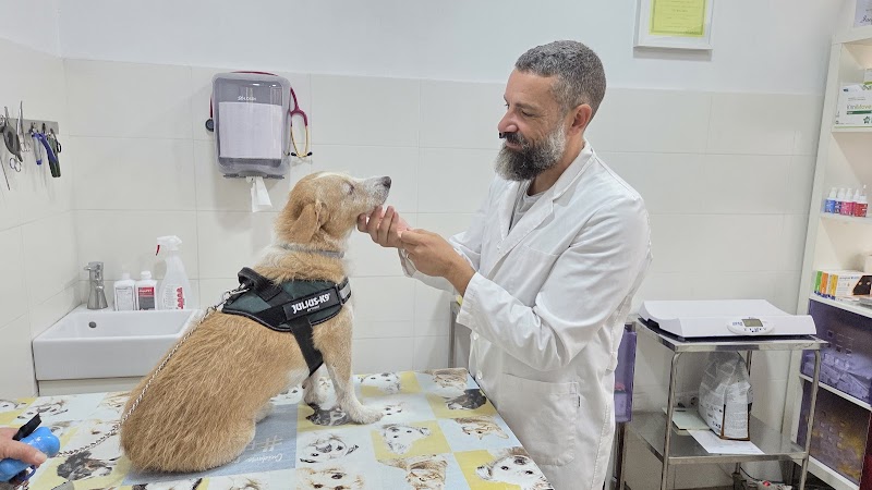 Gerardo Capozzi Veterinario
