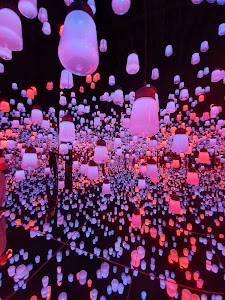teamLab Borderless: MORI Building DIGITAL ART MUSEUM