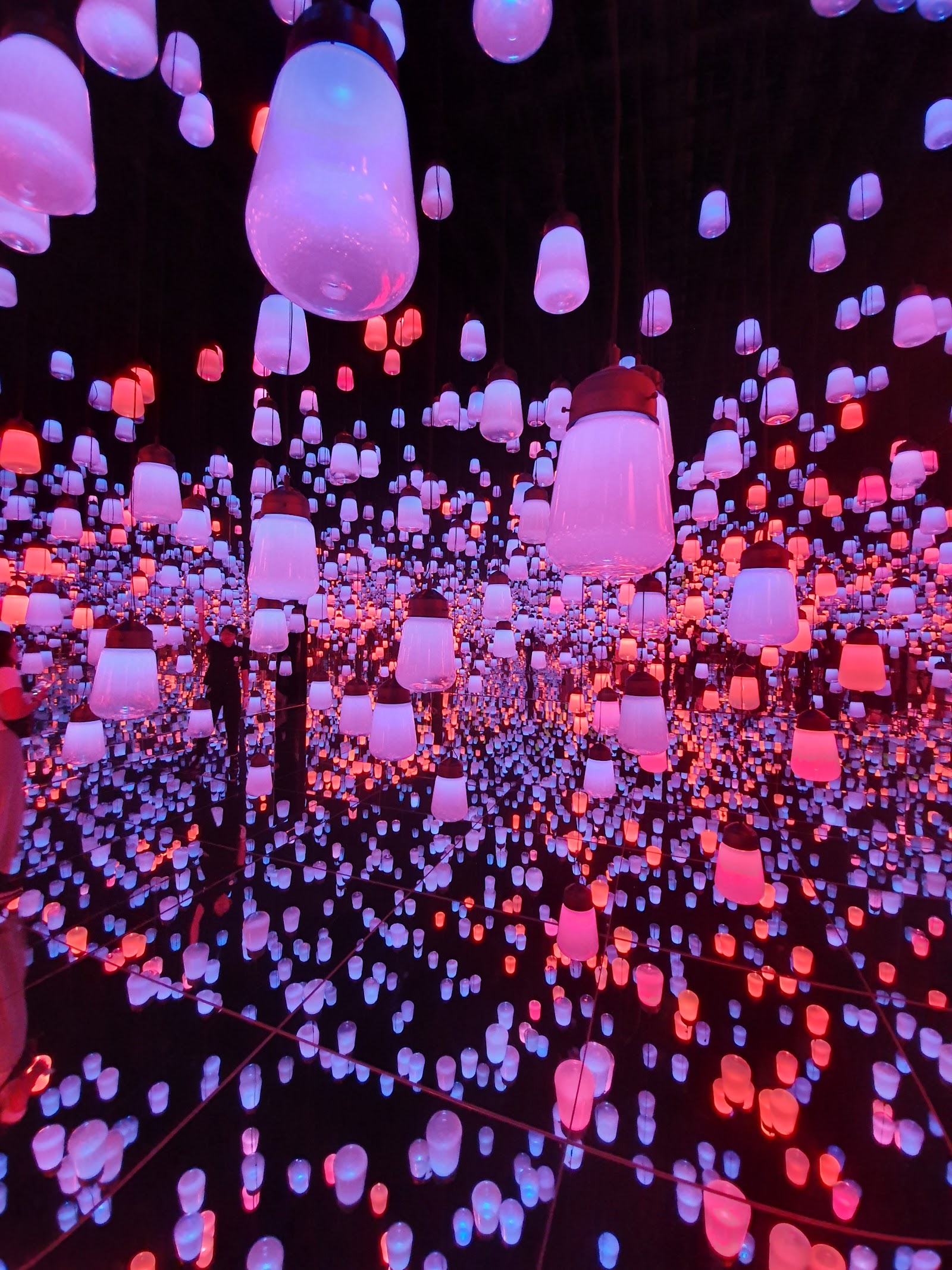 TeamLab Borderless Area