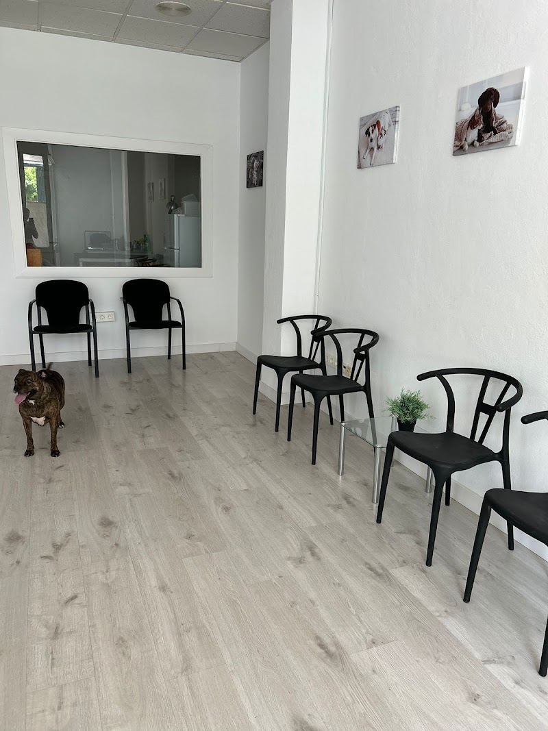 Centro Veterinario El Cercado