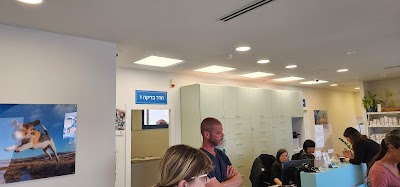 טיפול נמרץ מרכז חירום ומומחים וטרינרי