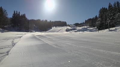 Matsudai Family Ski Area - 1