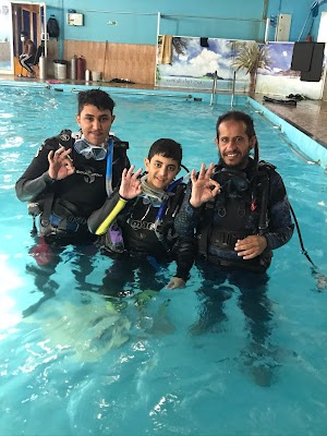 غواص شيبارة