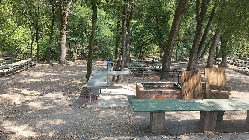 Morton's Warm Springs photo 4