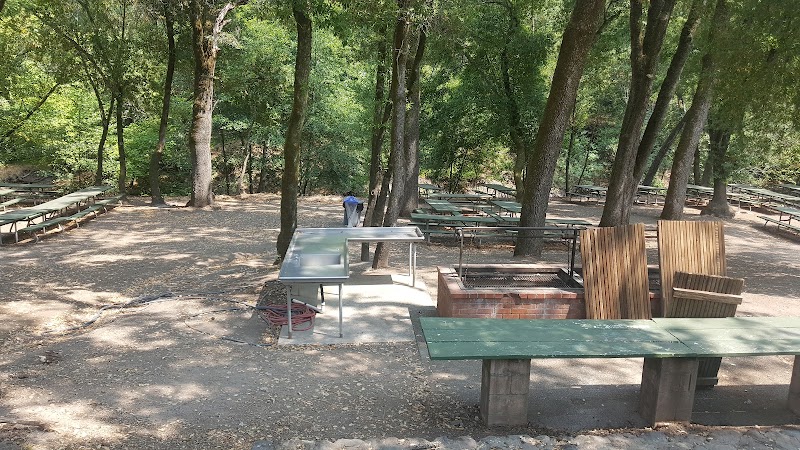 Morton's Warm Springs photo 4