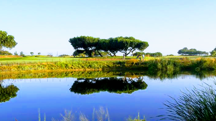 Shoreline Golf Links photo 1