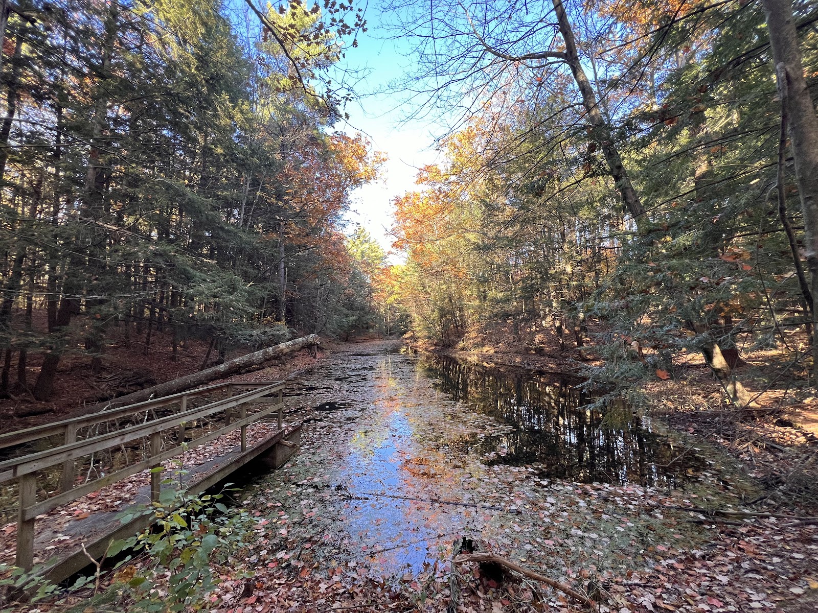 Clear Springs Nature Preserve 2