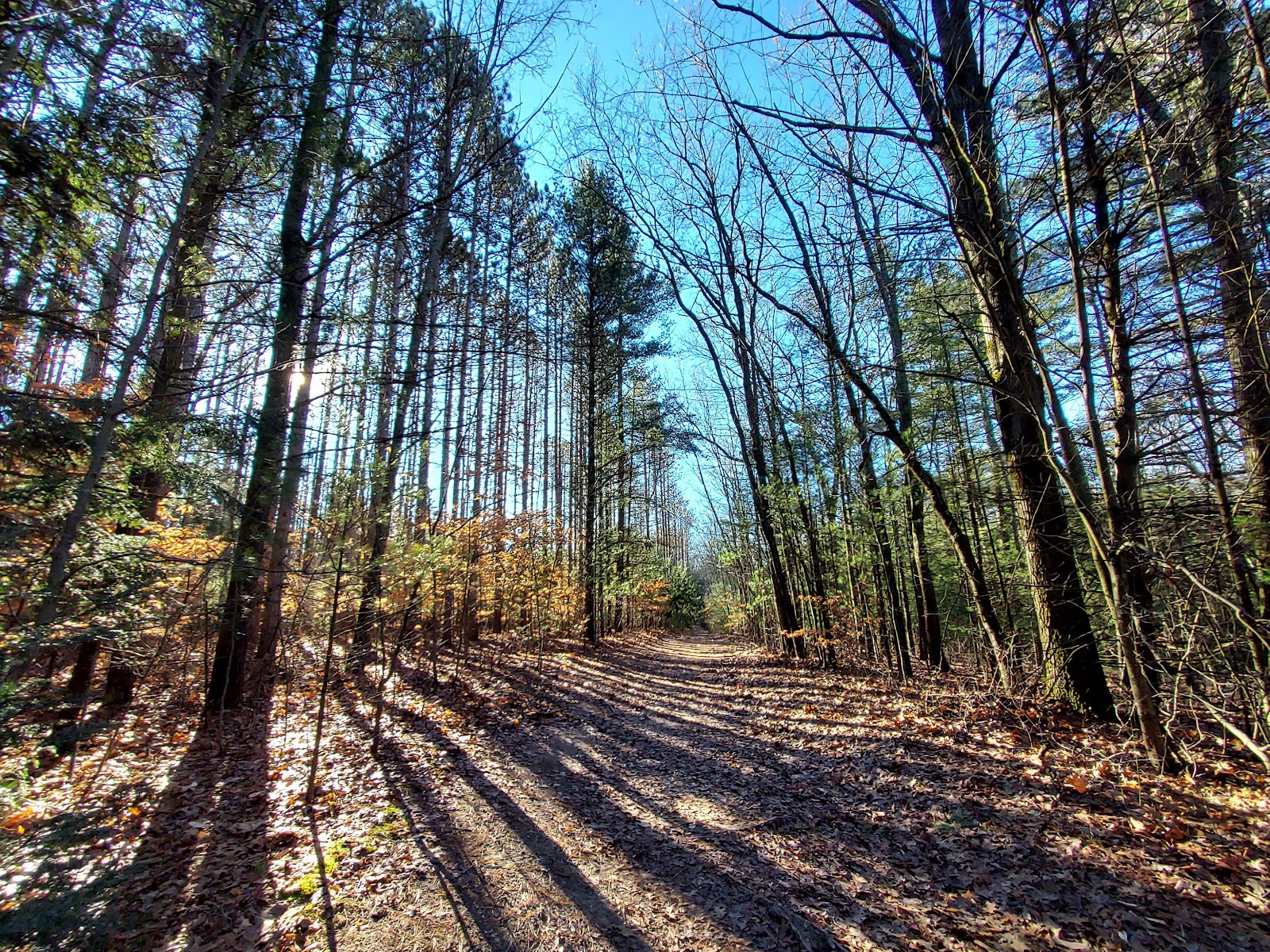 Clear Springs Nature Preserve 2