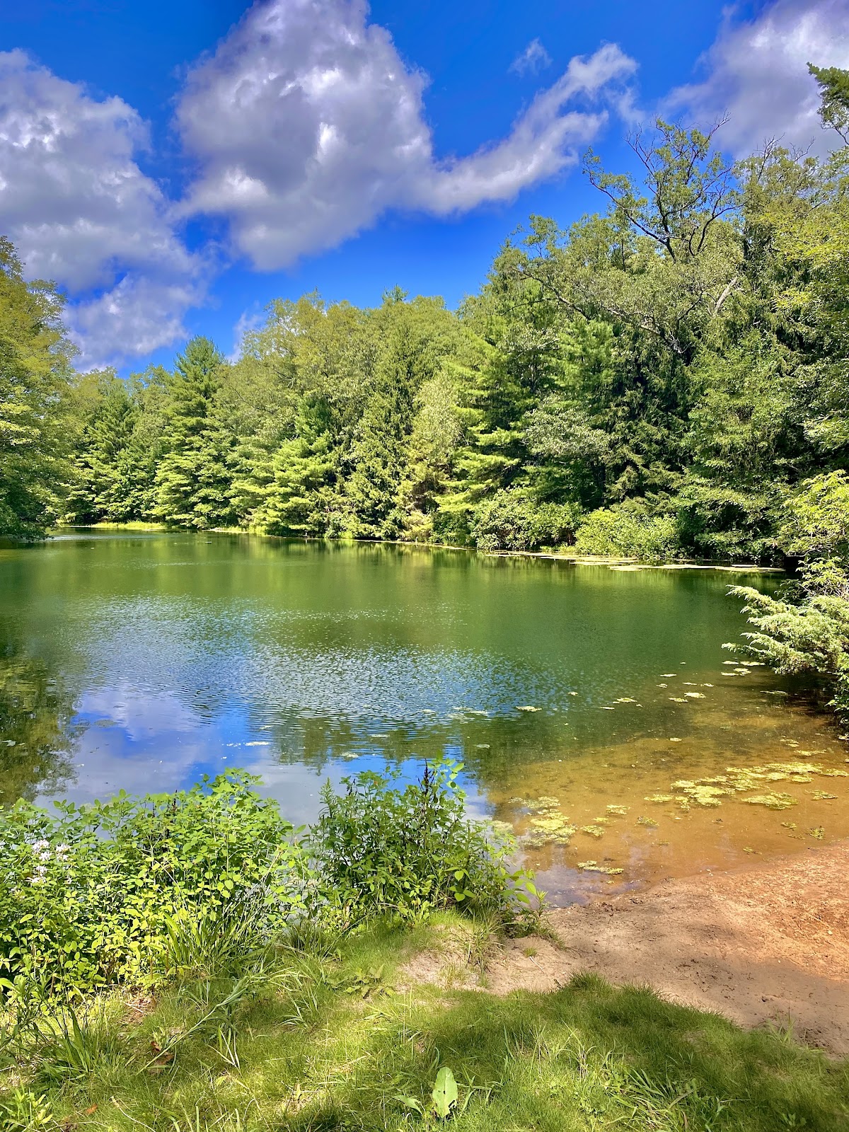 Clear Springs Nature Preserve main