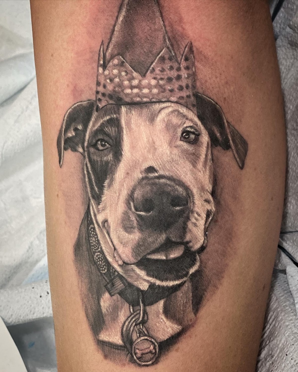 The Standard Tattoo Parlor — tattoo studio near Chula Vista