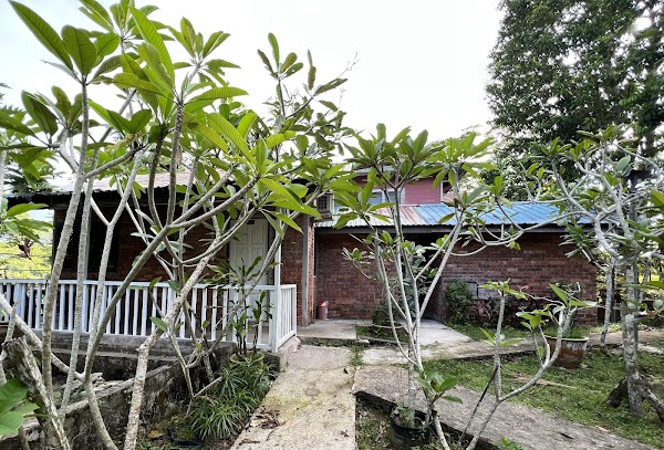 Rom Garden cafe,Homestay & Nursery - Photo 1