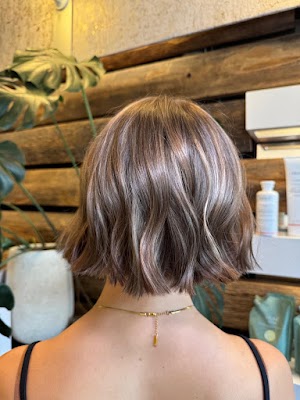 Hairvolution photo 3