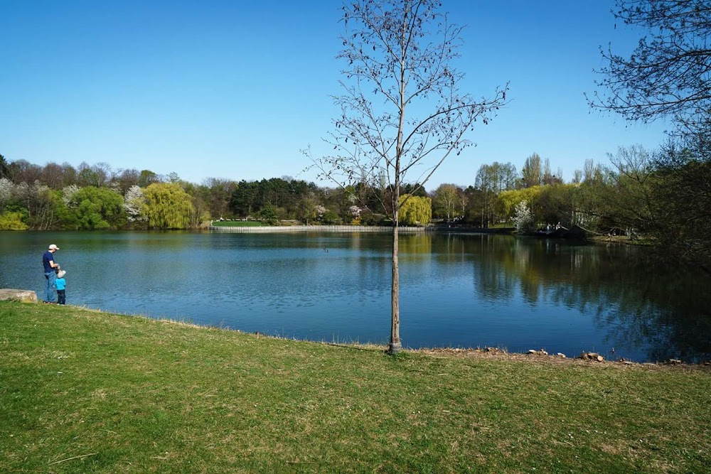 Kurpark Oberlaa fotoğraf 1