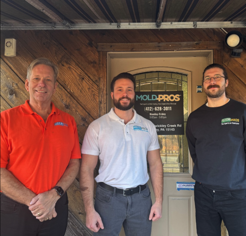 Mold Pros of Western PA — photo
