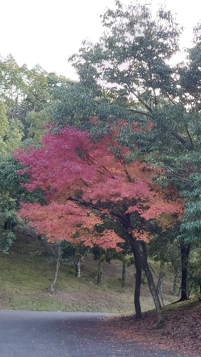 Ayu Taki Country Club - Photo 5