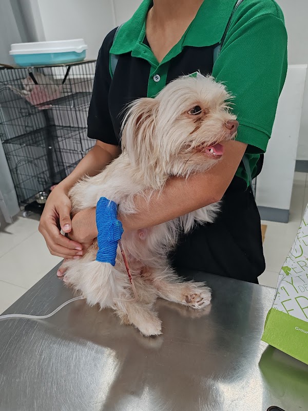 FourPaws Veterinary and Grooming Center Hagonoy Branch
