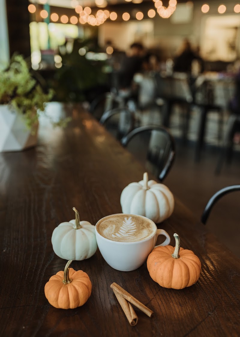 Green Eyes Coffee + Cafe photo 4