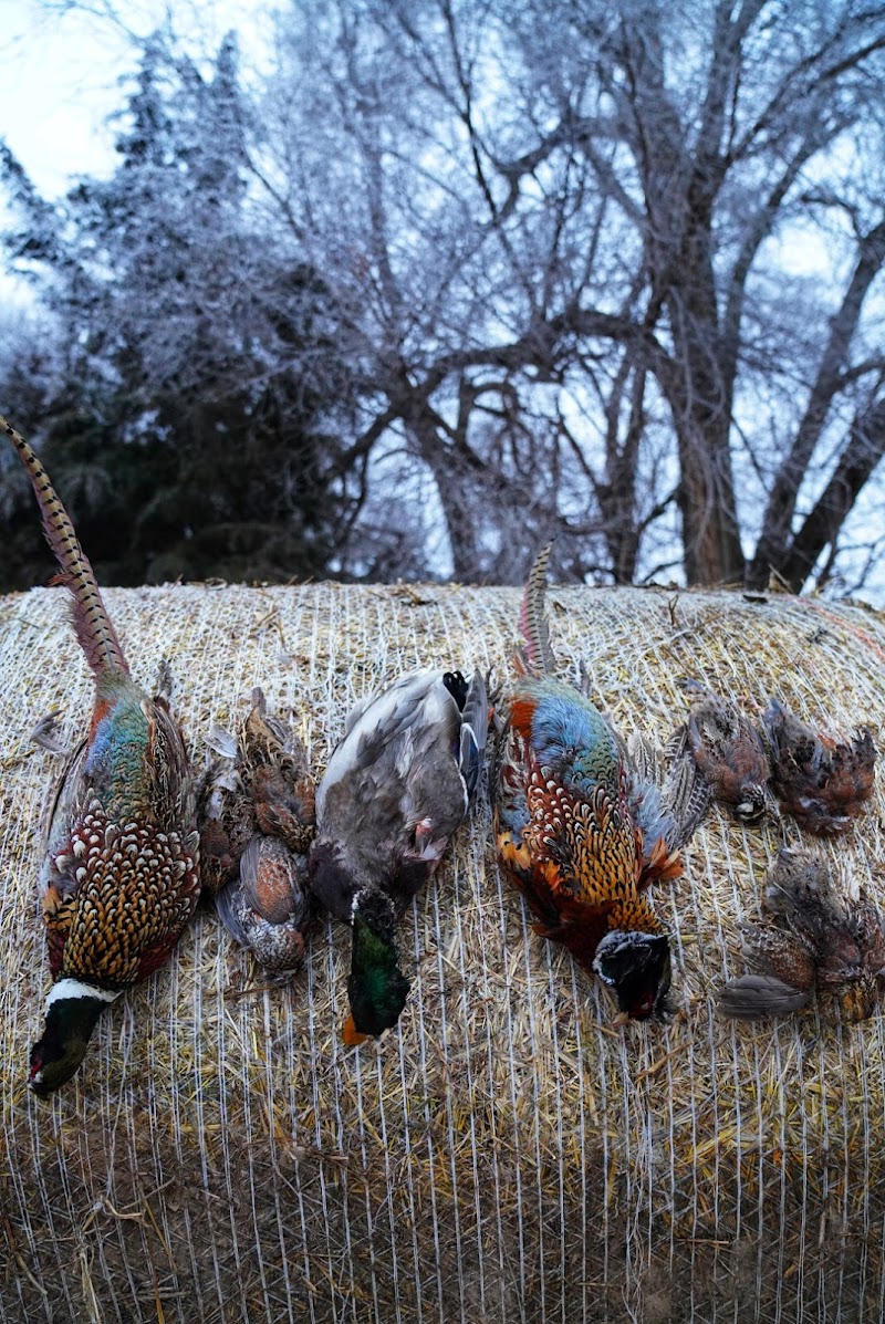 Dirt Road Outfitters - Photo 5
