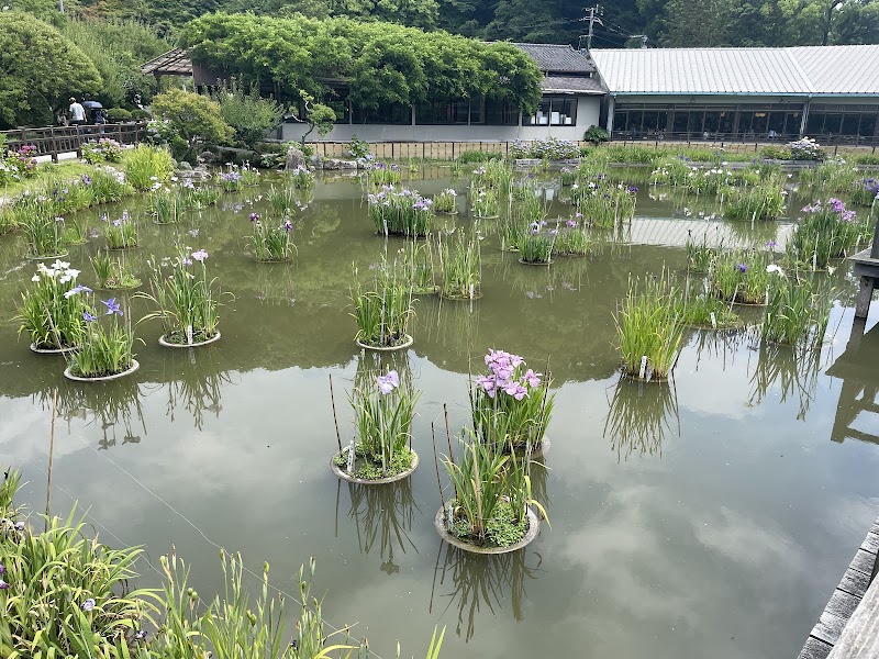 菖蒲池