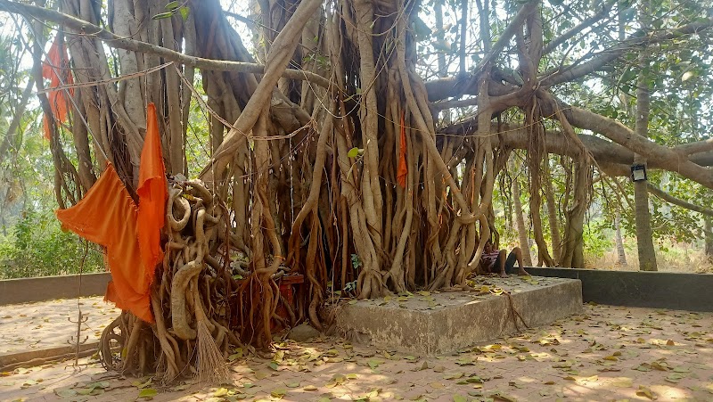 The Banyan Tree