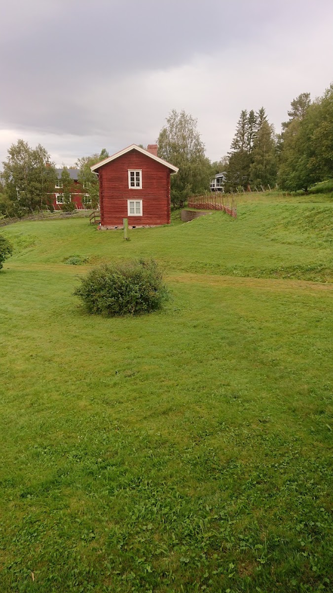 Birgitta Larsson