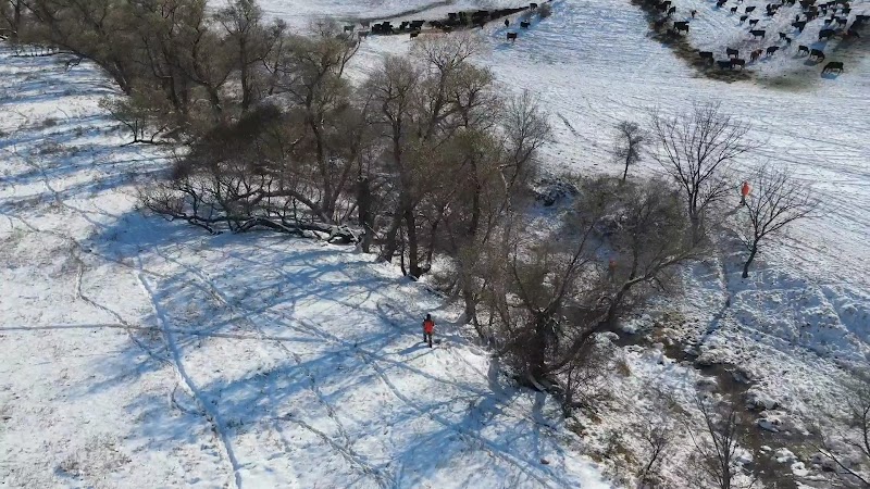 Oak Creek Lodge - Photo 1