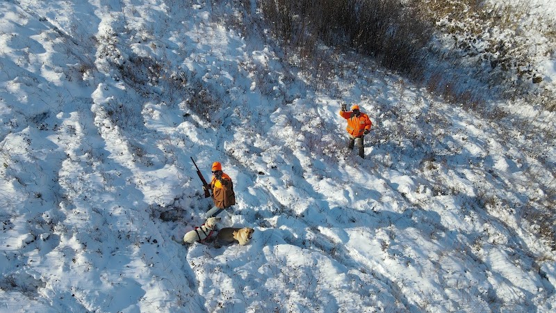 Oak Creek Lodge - Photo 6