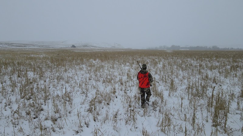 Oak Creek Lodge - Photo 3