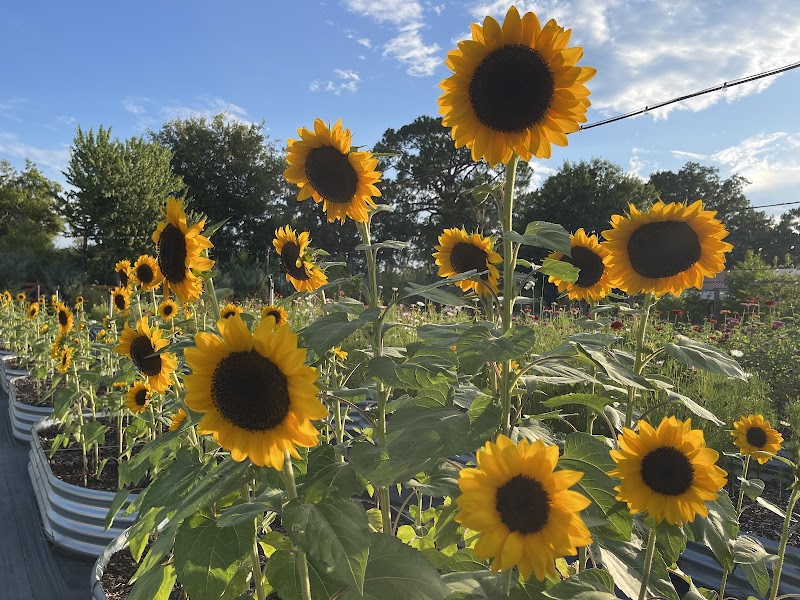 Agape Family Farms photo 1