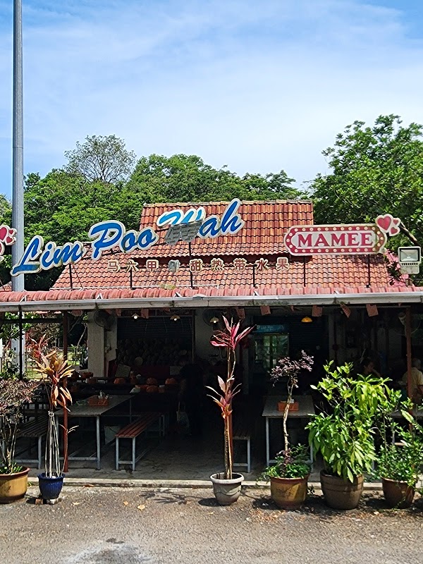 Roti Selimut Pak Ali - Photo 1