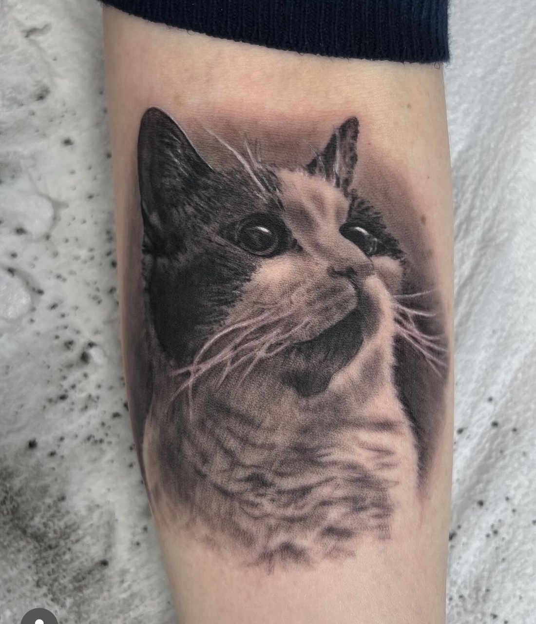 Lucky Monkey Tattoo Parlour — tattoo studio near Ann Arbor