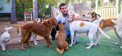 פנסיון ואילוף כלבים מתן ידידיה