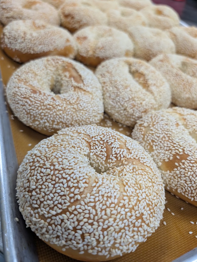 Desert Sun Bagel #1 photo 4