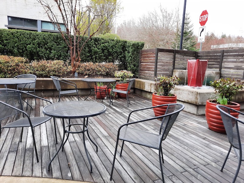 Ava Roasteria - Meadows photo 1