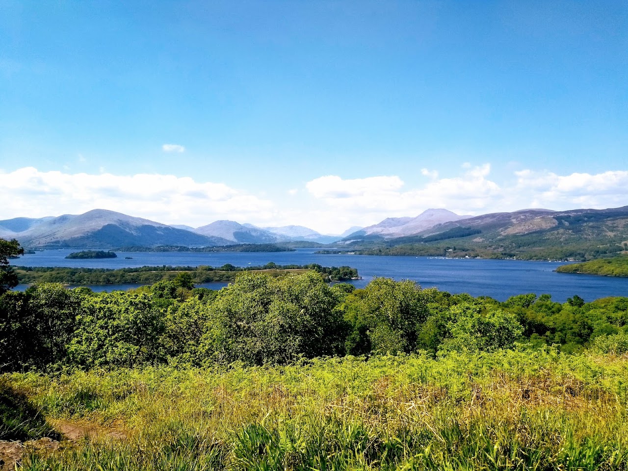 Loch Lomond National Nature Reserve