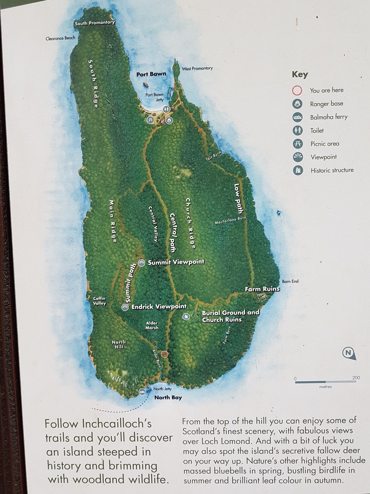Loch Lomond National Nature Reserve