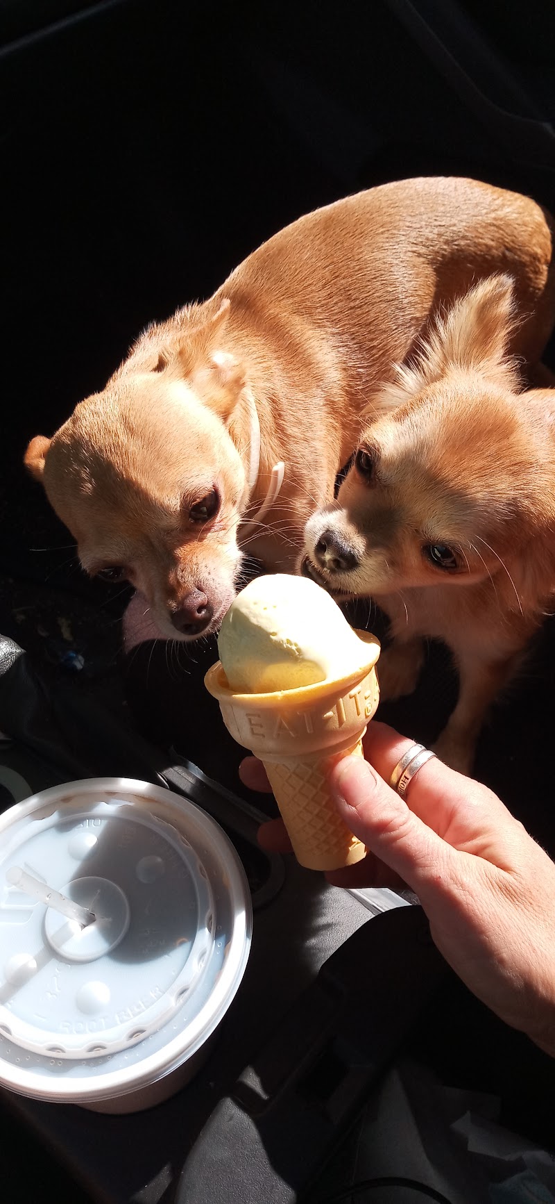 The Ice Cream Vault photo 3