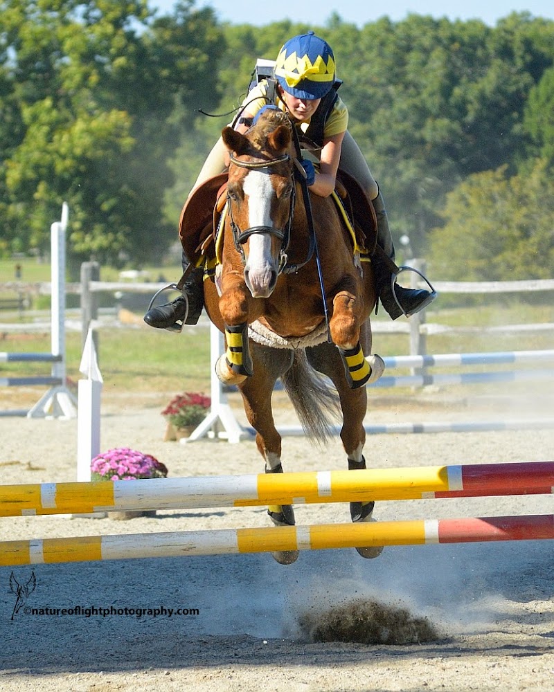 Hunters Haven Farm - Photo 2