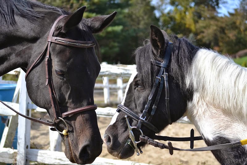 Hunters Haven Farm - Photo 3