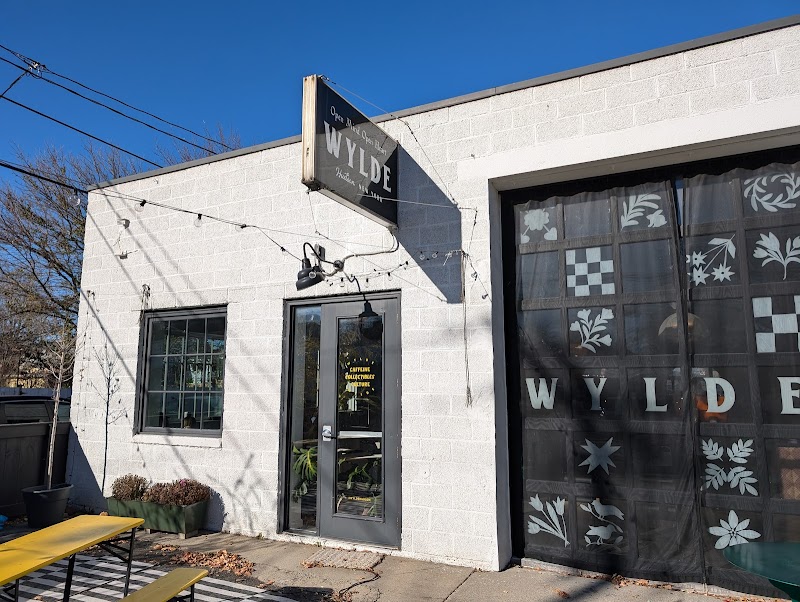 WYLDE Hudson photo 4