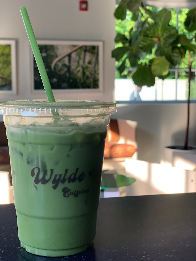 WYLDE Hudson photo 2