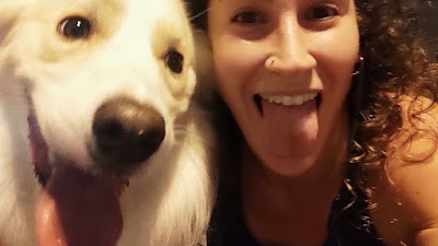 אילוף כלבים באהבה ❤ I שרון וינשטיין - מאלפת כלבים ומטפלת התנהגותית I מאלף כלבים בתל אביב והמרכז