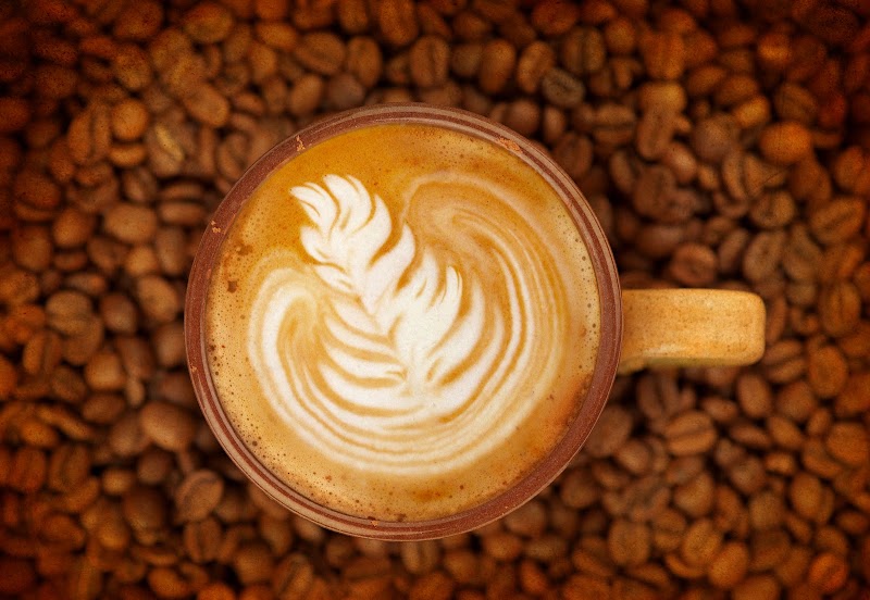 Picasso's Coffee photo 2